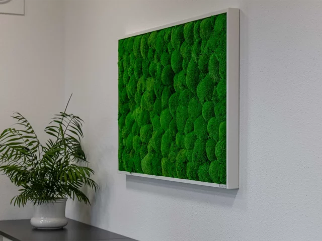 Akustikelemente von cbo - hier ein Wandbild aus echtem Moos